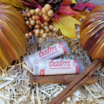 Pumpkin Spice 10 Pack
